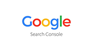 google.search.console